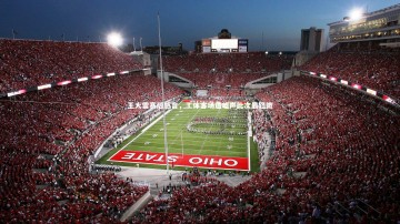 ng体育-王大雷赛后感言，工体客场遭嘘声此次最轻微